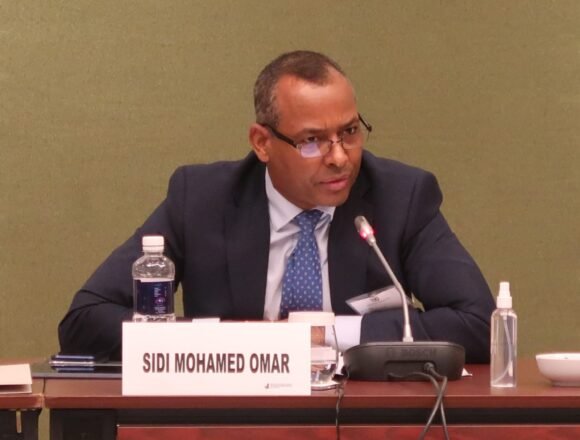 Representante del F. POLISARIO en la ONU: “El pueblo saharaui es el único que puede decidir su presente y futuro, no Francia ni nadie más” | Sahara Press Service (SPS)