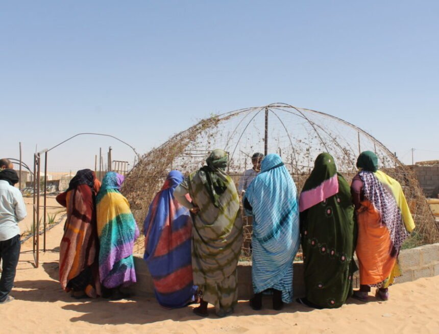 Las ONG aplauden la aprobación de la Proposición No de Ley sobre medidas para reforzar la cooperación con el pueblo saharaui – CERAI