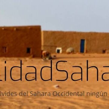 Noticias del SAHARA OCCIDENTAL – 21/7/2024 – La Actualidad Saharaui