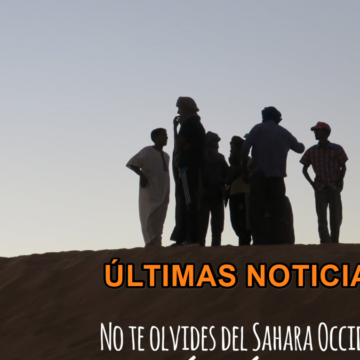 Noticias del SAHARA OCCIDENTAL – 19/7/2024 – La Actualidad Saharaui
