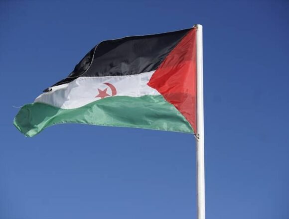 EuropaPress_3434201_bandera_republica_arabe_saharaui_democratica_NoticiaAmpliada 116 menores saharauis llegan a la Comunitat Valenciana para «unas vacaciones de paz» – Valencia Plaza