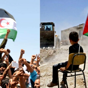 Oubi Bouchraya | Palestine et Sahara occidental : La compatibilité des deux causes et la convergence des chemins de résistance – El watan.dz