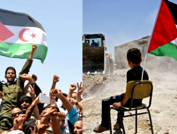 Oubi Bouchraya | Palestine et Sahara occidental : La compatibilité des deux causes et la convergence des chemins de résistance – El watan.dz