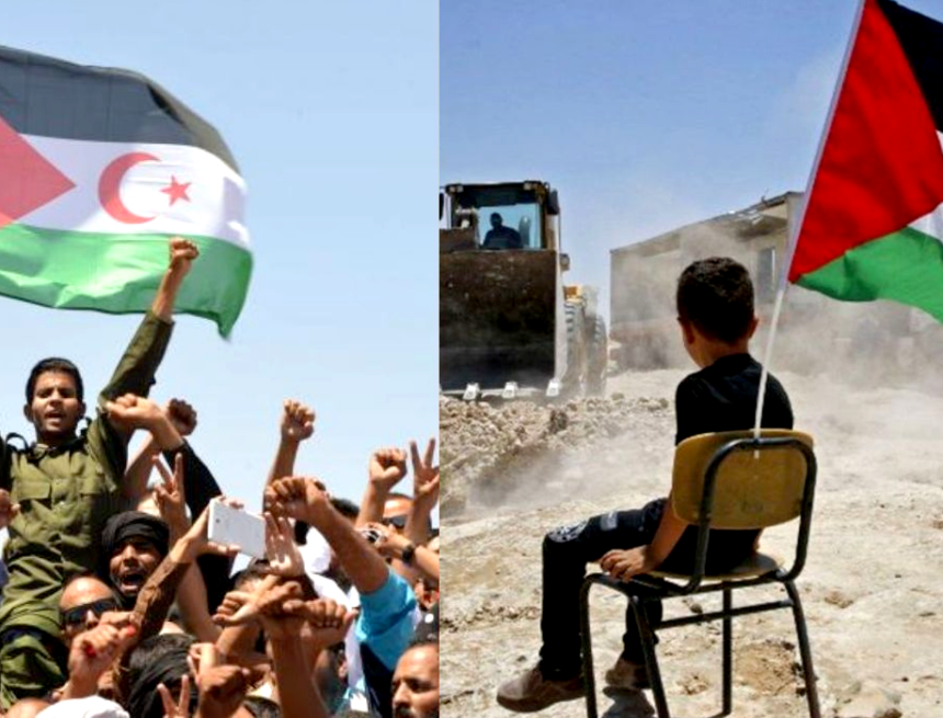Oubi Bouchraya | Palestine et Sahara occidental : La compatibilité des deux causes et la convergence des chemins de résistance – El watan.dz