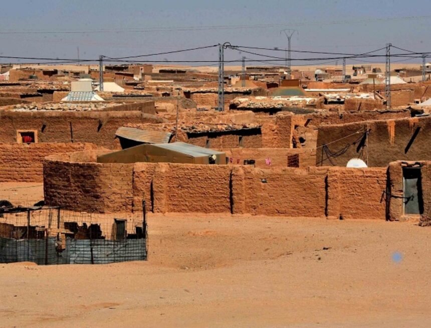 SAHARA OCCIDENTAL | Fatimetu Mohtar Ali: « Réduire ce conflit à une rivalité entre l’Algérie et le Maroc vise à effacer le peuple sahraoui de la carte » 