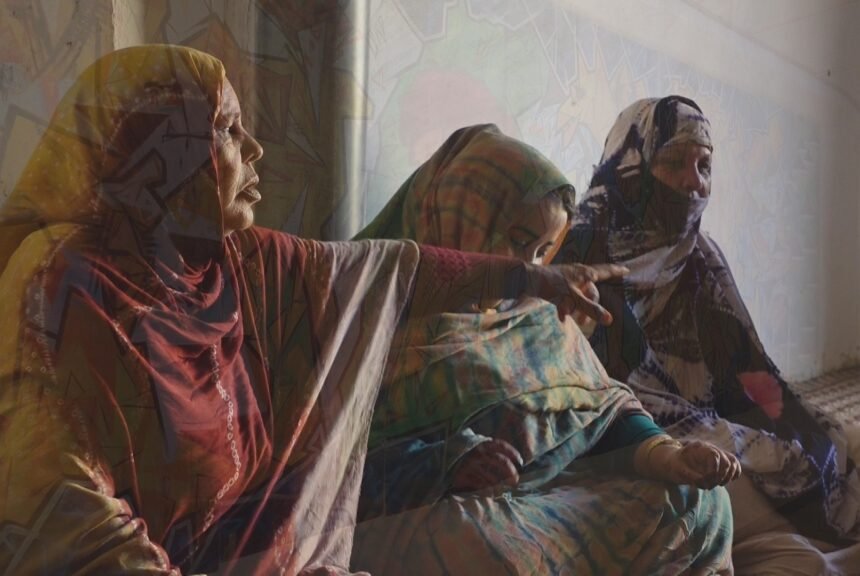 Cine argentino estrena documental sobre mujeres saharauis | Voz del Sahara Occidental en Argentina