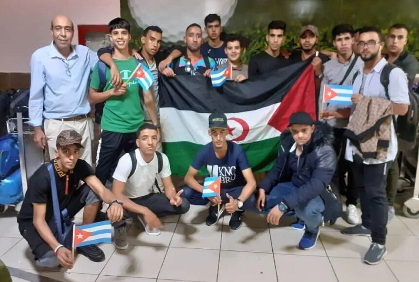 image-3-557 La estrategia cubana que la RASD debe copiar para no perder a sus mejores graduados | NR | Periodismo alternativo