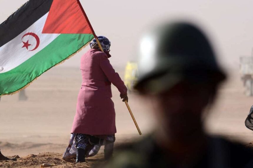 Le Sahara occidental, «un trou noir de l’information» – Horizons