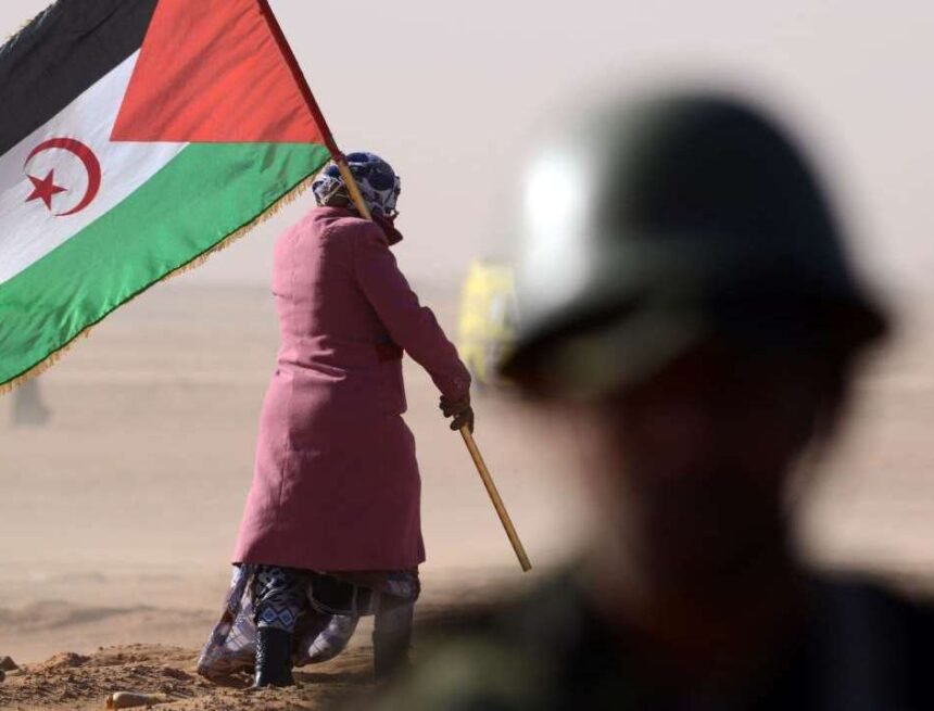 Le Sahara occidental, «un trou noir de l’information» – Horizons