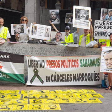 sdefrtghn Noticias del SAHARA OCCIDENTAL – 30/7/2024 – La Actualidad Saharaui