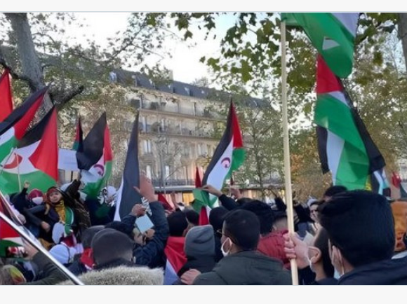sdfert56 Les Sahraouis de France dénoncent le soutien de la France au «plan d’autonomie» marocain pour le Sahara occidental