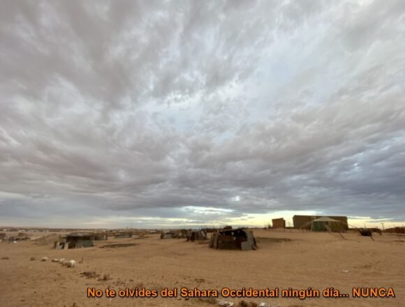 101683649_10220569300695660_3448992393775284224_n Noticias del SAHARA OCCIDENTAL – 20/8/2024 – La Actualidad Saharaui