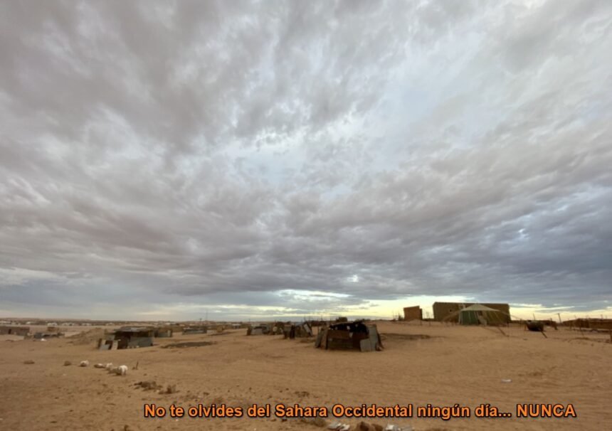 Noticias del SAHARA OCCIDENTAL – 20/8/2024 – La Actualidad Saharaui