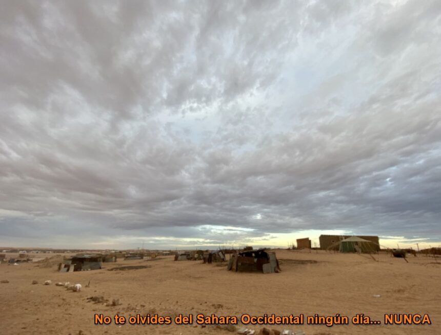 101683649_10220569300695660_3448992393775284224_n Noticias del SAHARA OCCIDENTAL – 20/8/2024 – La Actualidad Saharaui