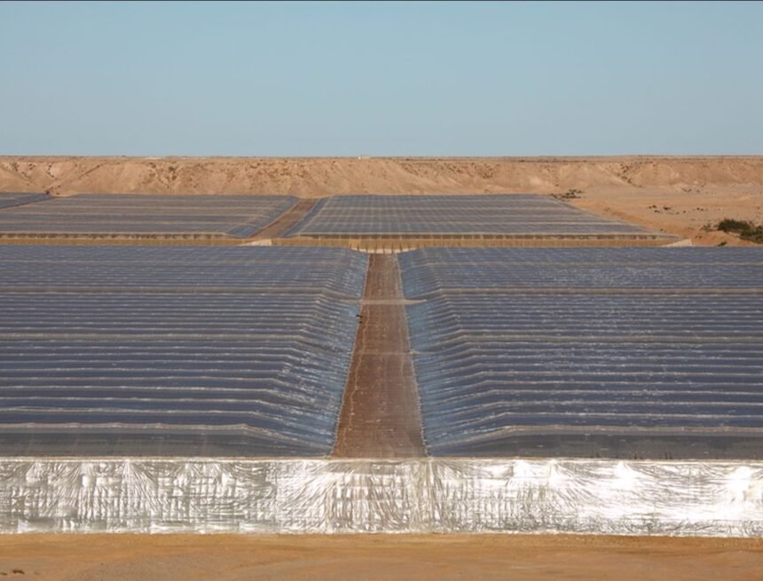 Agricultura en el desierto ocupado – Western Sahara Resource Watch
