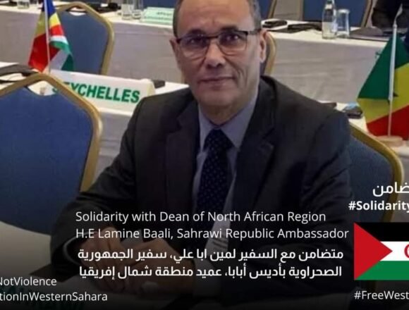 Noticias del SAHARA OCCIDENTAL – 24/8/2024 – La Actualidad Saharaui