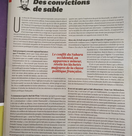 “El conflicto en torno al Sáhara Occidental revela la cobardía y las incoherencias de la clase política francesa” – Marianne