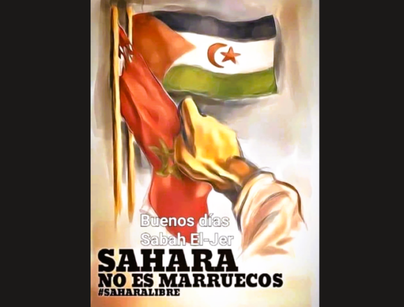 Noticias del SAHARA OCCIDENTAL – 7/8/2024 – La Actualidad Saharaui