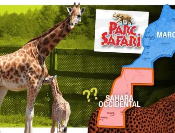 Les Canadiens d’origine marocaine sont en colère – 😇😜😎..News Day FR 