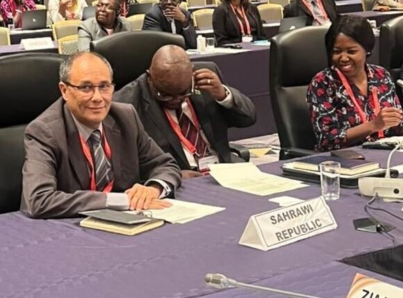 The Sahrawi Republic participates in the TICAD experts’ meeting in Tokyo, and the Moroccan delegation tried to ruin the meeting | Sahara Press Service (SPS)