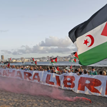 Noticias del SAHARA OCCIDENTAL – 18/8/2024 – La Actualidad Saharaui