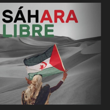 Noticias del SAHARA OCCIDENTAL – 17/8/2024 – La Actualidad Saharaui