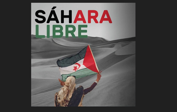 Noticias del SAHARA OCCIDENTAL – 17/8/2024 – La Actualidad Saharaui