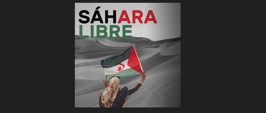Noticias del SAHARA OCCIDENTAL – 9/8/2024 – La Actualidad Saharaui