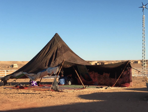 Noticias del SAHARA OCCIDENTAL – 2/8/2024 – La Actualidad Saharaui