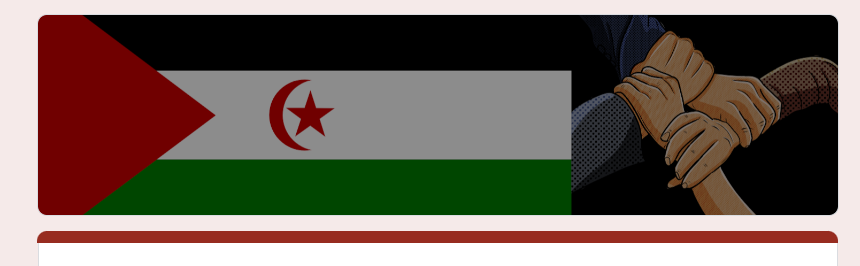 Noticias del SAHARA OCCIDENTAL – 5/8/2024 – La Actualidad Saharaui