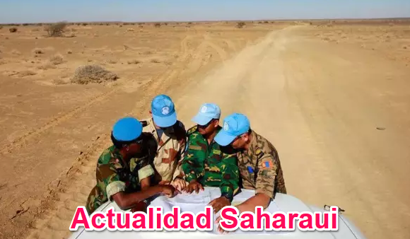 Noticias del SAHARA OCCIDENTAL – 13/8/2024 – La Actualidad Saharaui