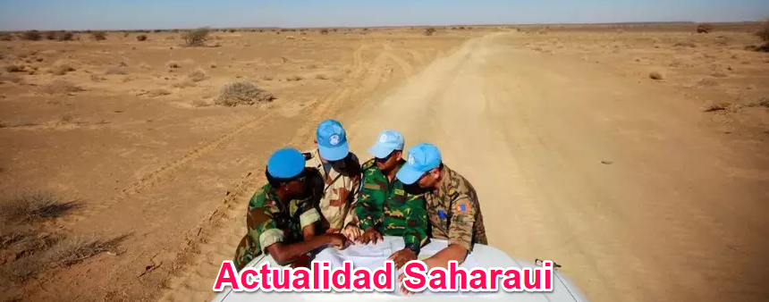 Noticias del SAHARA OCCIDENTAL – 13/8/2024 – La Actualidad Saharaui