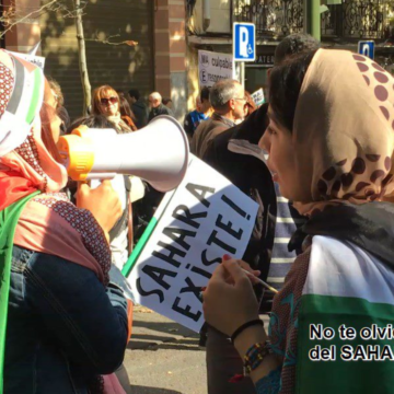Noticias del SAHARA OCCIDENTAL – 25/8/2024 – La Actualidad Saharaui