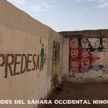 Noticias del SAHARA OCCIDENTAL – 23/8/2024 – La Actualidad Saharaui