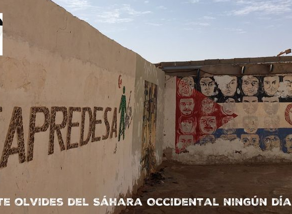 wsedrfgthj Noticias del SAHARA OCCIDENTAL – 23/8/2024 – La Actualidad Saharaui