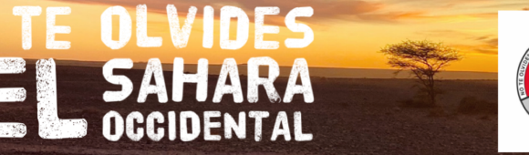 Noticias del SAHARA OCCIDENTAL – 14/8/2024 – La Actualidad Saharaui