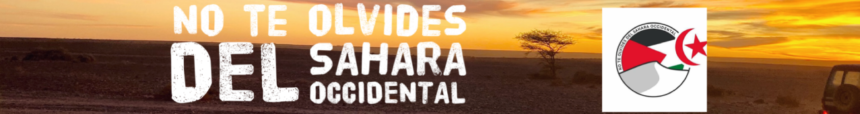 Noticias del SAHARA OCCIDENTAL – 14/8/2024 – La Actualidad Saharaui
