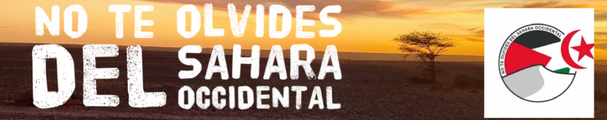 Noticias del SAHARA OCCIDENTAL – 14/8/2024 – La Actualidad Saharaui