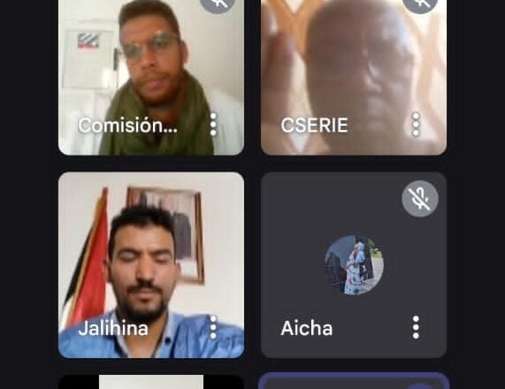 UESARIO‎ holds meeting with Revolutionary Organization for New Democracy in Niger | Sahara Press Service (SPS)