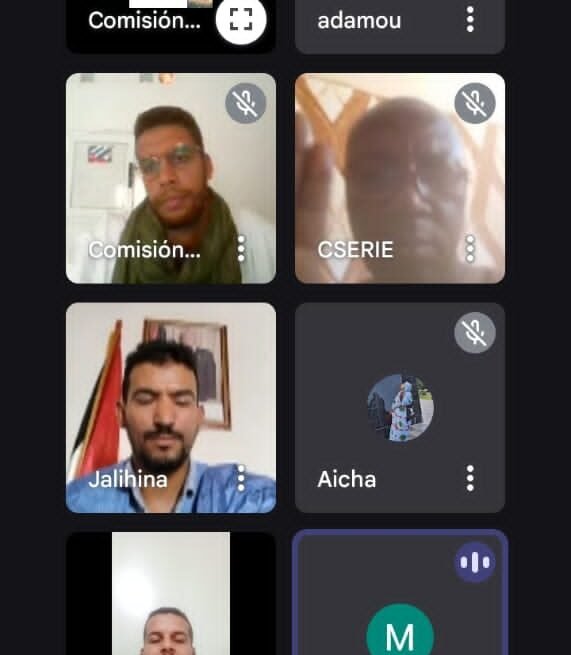 UESARIO‎ holds meeting with Revolutionary Organization for New Democracy in Niger | Sahara Press Service (SPS)