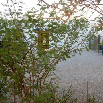 OASIS – No tardarán en abrirse las puertas de las cinco bibliotecas BUBISHER del pueblo saharaui