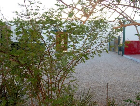 OASIS – No tardarán en abrirse las puertas de las cinco bibliotecas BUBISHER del pueblo saharaui