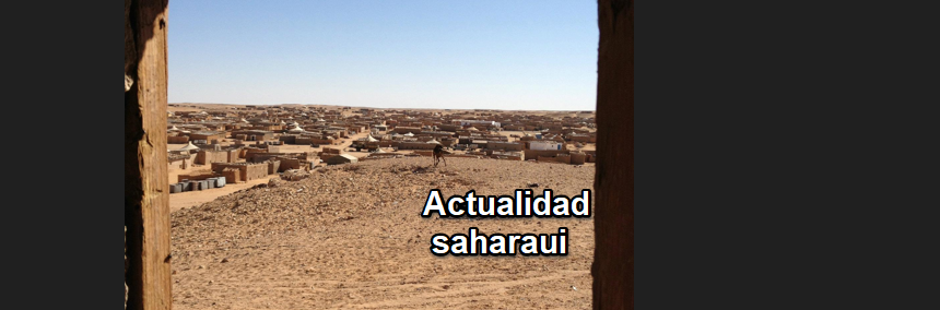 Zsxdcfgvhjkm, Noticias del SAHARA OCCIDENTAL – 8/9/2024 – La Actualidad Saharaui