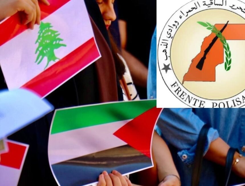 La paz y la estabilidad internacionales sólo son posibles permitiendo a los pueblos realizar sus legítimos derechos a la autodeterminación, afirma Frente POLISARIO | Sahara Press Service (SPS)