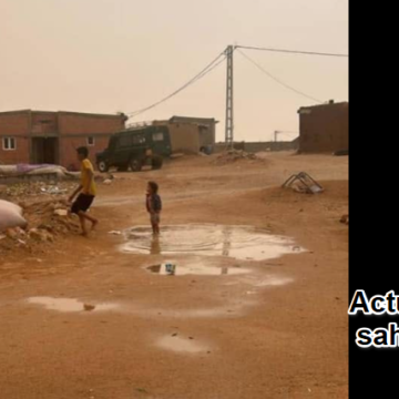 Noticias del SAHARA OCCIDENTAL – 10/9/2024 – La Actualidad Saharaui