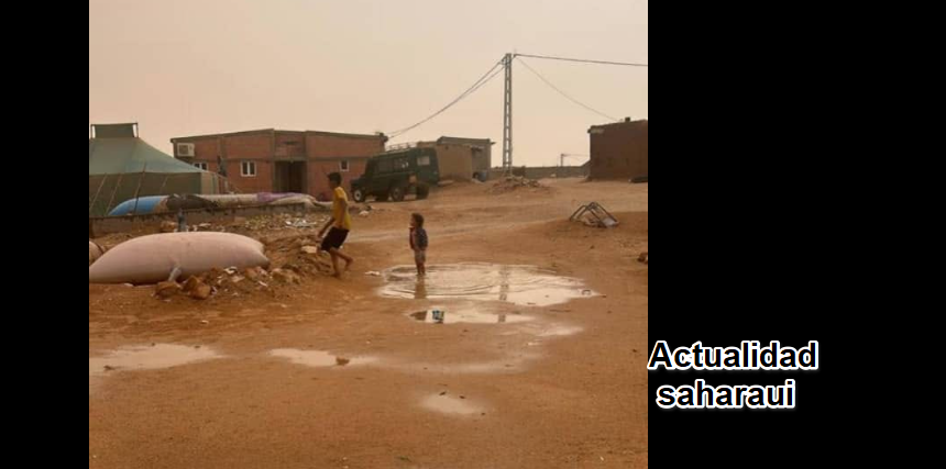 sdfghjk, Noticias del SAHARA OCCIDENTAL – 10/9/2024 – La Actualidad Saharaui