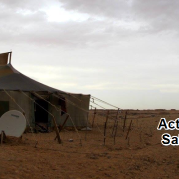 Noticias del SAHARA OCCIDENTAL – 11/9/2024 – La Actualidad Saharaui