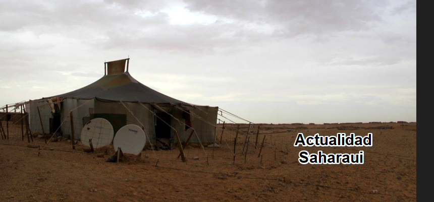 sdfghjkl Noticias del SAHARA OCCIDENTAL – 11/9/2024 – La Actualidad Saharaui