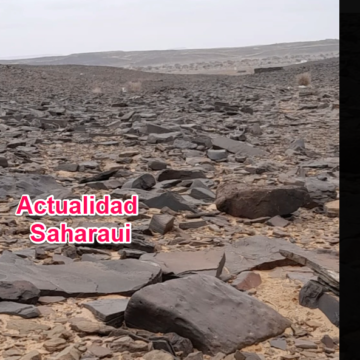 Noticias del SAHARA OCCIDENTAL – 1/9/2024 – La Actualidad Saharaui