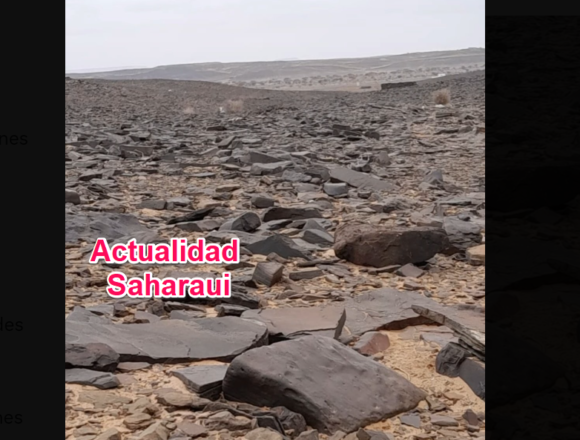 Noticias del SAHARA OCCIDENTAL – 1/9/2024 – La Actualidad Saharaui